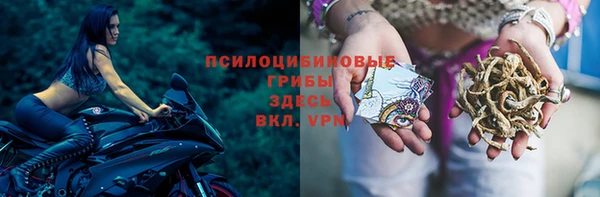 СК Балахна