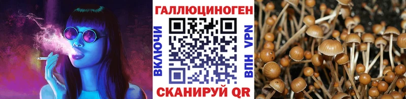MEGA зеркало  Кушва  Галлюциногенные грибы мицелий 